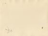 A SET OF CARDBOARD PHOTOS BELONGING TO SHEIKH SALEM BIN MAHFOUZ (FOUNDER OF THE NATIONAL COMMERCIAL BANK IN SAUDI ARABIA) WITH ONE OF THE AL-KAAKI'S FAMILY AND THEIR COMPANIONS DURING THEIR VISIT TO THE ARAB REPUBLIC OF EGYPT IN THE MID-1950s