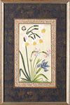 THREE INDIAN BOTANICAL PAINTINGS WITH BUTTERFLIES
