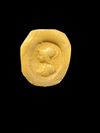 A RED JASPER INTAGLIO OF MINERVA, 1ST-2ND CENTURY AD