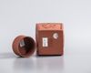 A Chinese yixing 'dragon' square-section tea caddy and cover