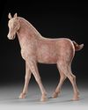 A CHINESE TERRACOTTA HORSE, TANG DYNASTY ( 618-906 AD)
