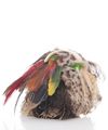 Vintage Isabel Canovas Feather Crossbody Bag