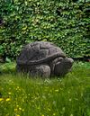 A CARVED LIMESTONE MODEL OF A TORTOISE, LATE 20TH CENTURY