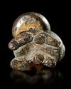 A BRONZE ELEPHANT OIL LAMP, HAN DYNASTY (206 BC-220 AD)