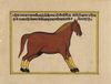 FIFTEEN ILLUSTRATED LEAVES FROM A MANUSCRIPT ON HORSES, INDIA, RAJASTHAN, 19TH CENTURY
