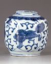 A Chinese blue and white jar